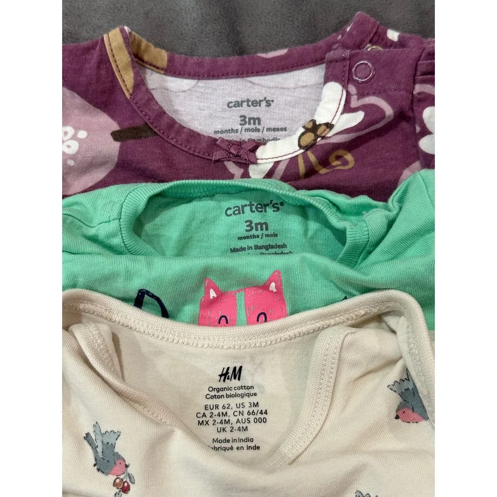 Carters and HM Baby Girl 3 Month Bodysuit and Tee Bundle 3pc Floral Dog Bird